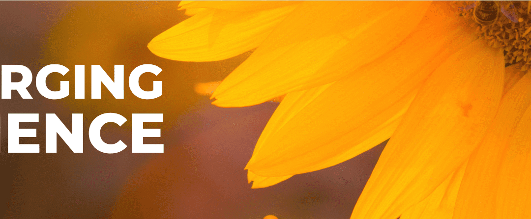 Recharging Resilience (Waynesville)*