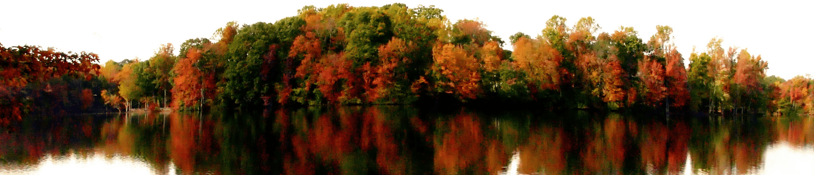 Resources for Resilience Leadership Team