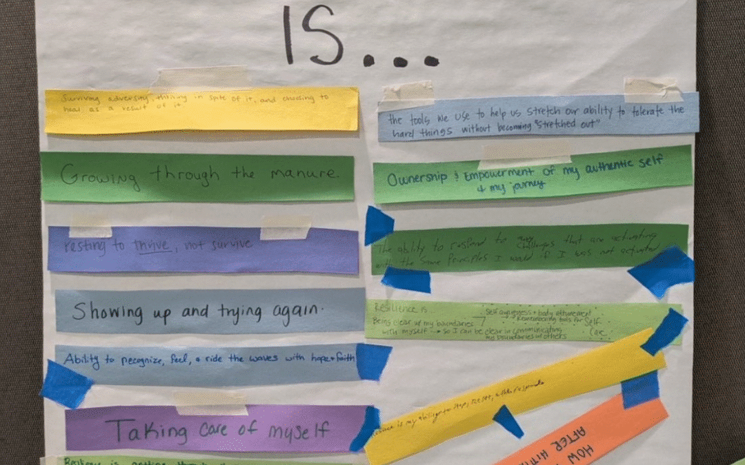 What is Resilience, Anyway?