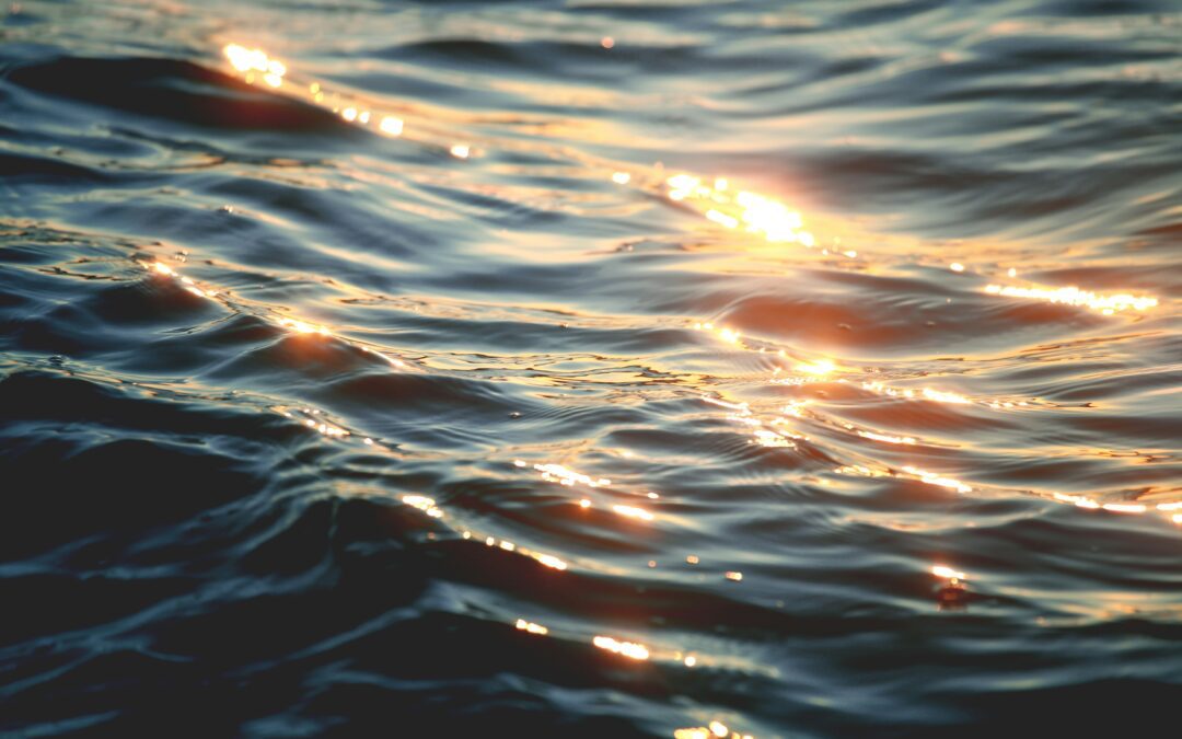 Look for the Glimmers: Micro-moments of Safety & Regulation