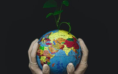 Rooted In Research: How Our Work Reflects Decades of Global Data in Public Health