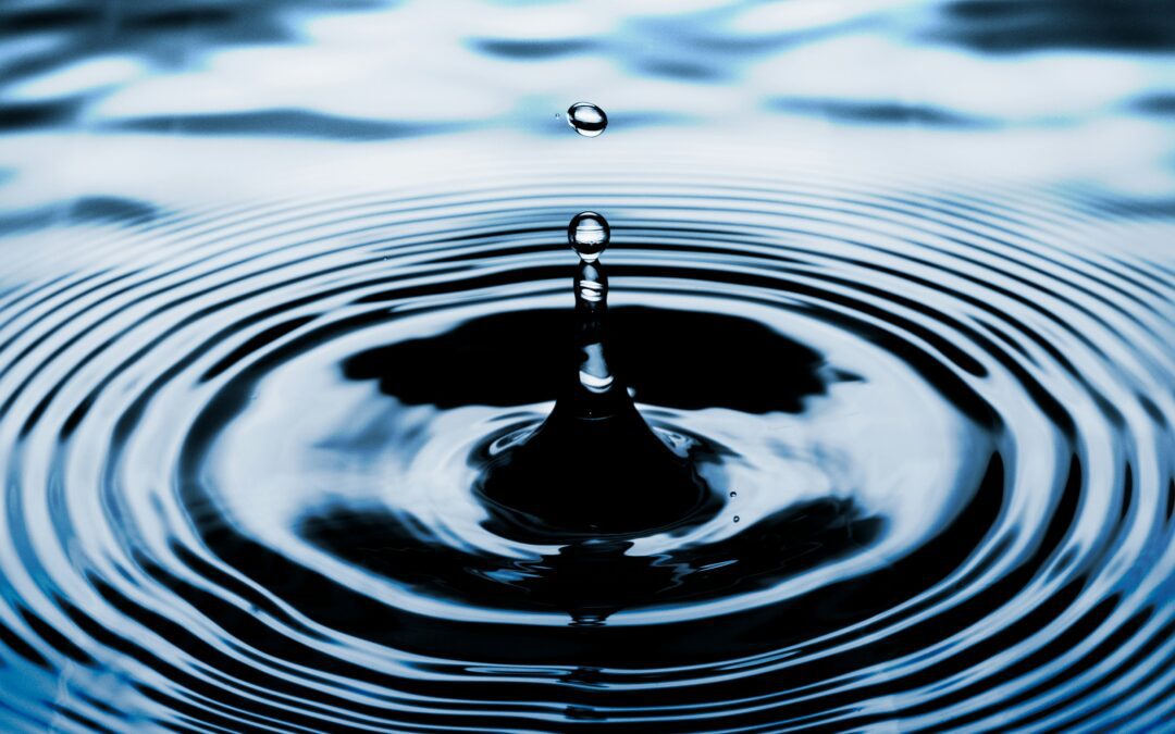 The Ripple Effect of Resilience: How One Person’s Growth Can Influence An Entire Community