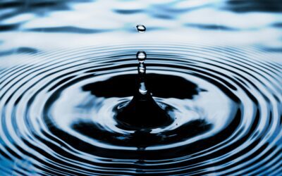 The Ripple Effect of Resilience: How One Person’s Growth Can Influence An Entire Community
